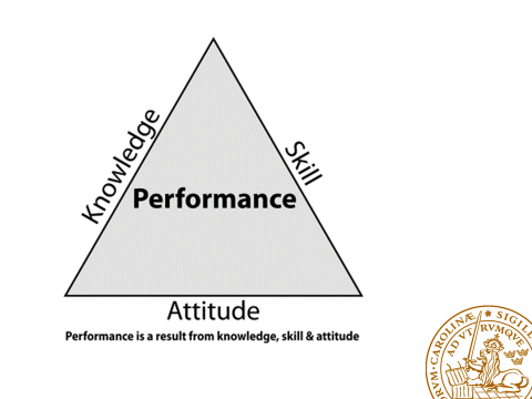 Illustration of the Performance Triangle.
